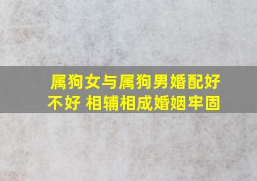 属狗女与属狗男婚配好不好 相辅相成婚姻牢固